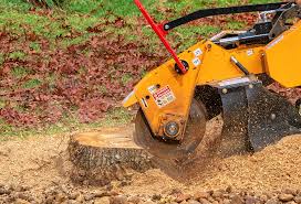 Lawn Grading and Leveling in Francis, UT