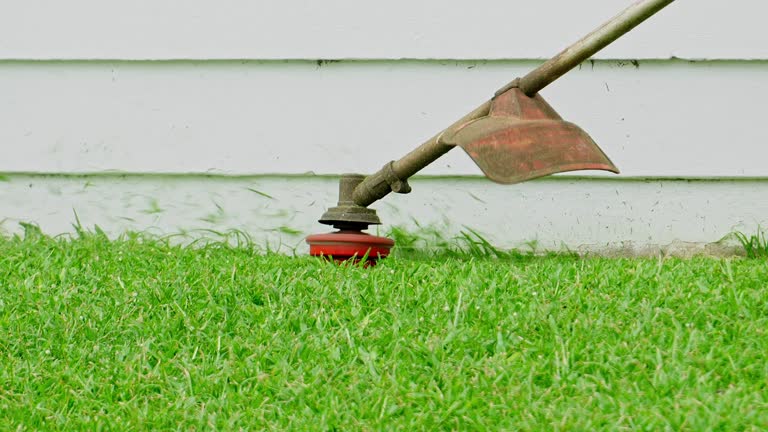 Lawn Drainage Solutions in Francis, UT